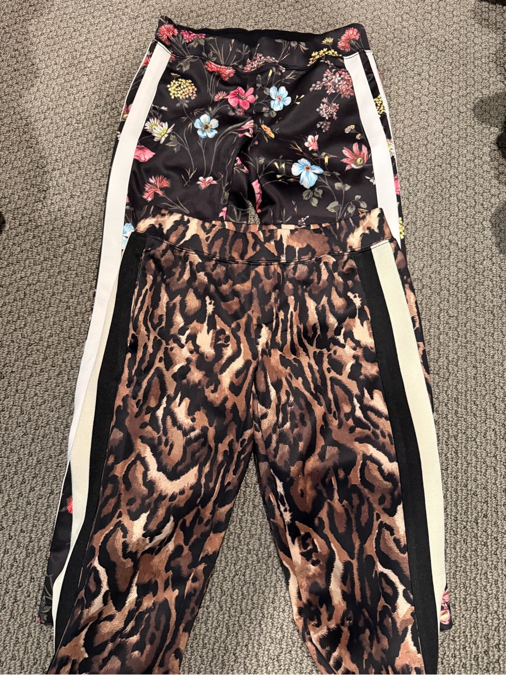 Pam & Gela Floral and Leopard Print Leggings - Black, Brown, Pink, Blue